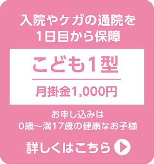 入院も死亡もバランス良く保障