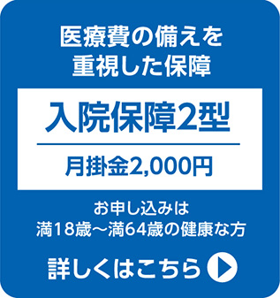 医療費の備え、入院保障2型