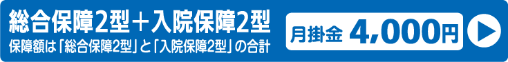 総合保障2型,入院保障2型